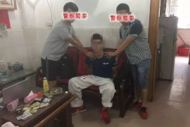 滦县专业催债公司的市场需求和前景分析